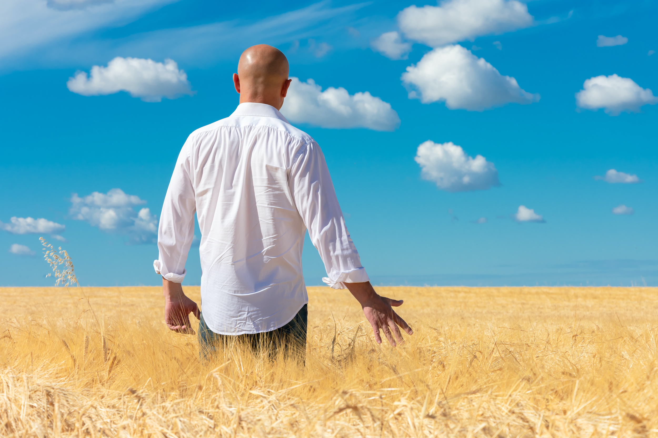 Homme marchant dans les blés
