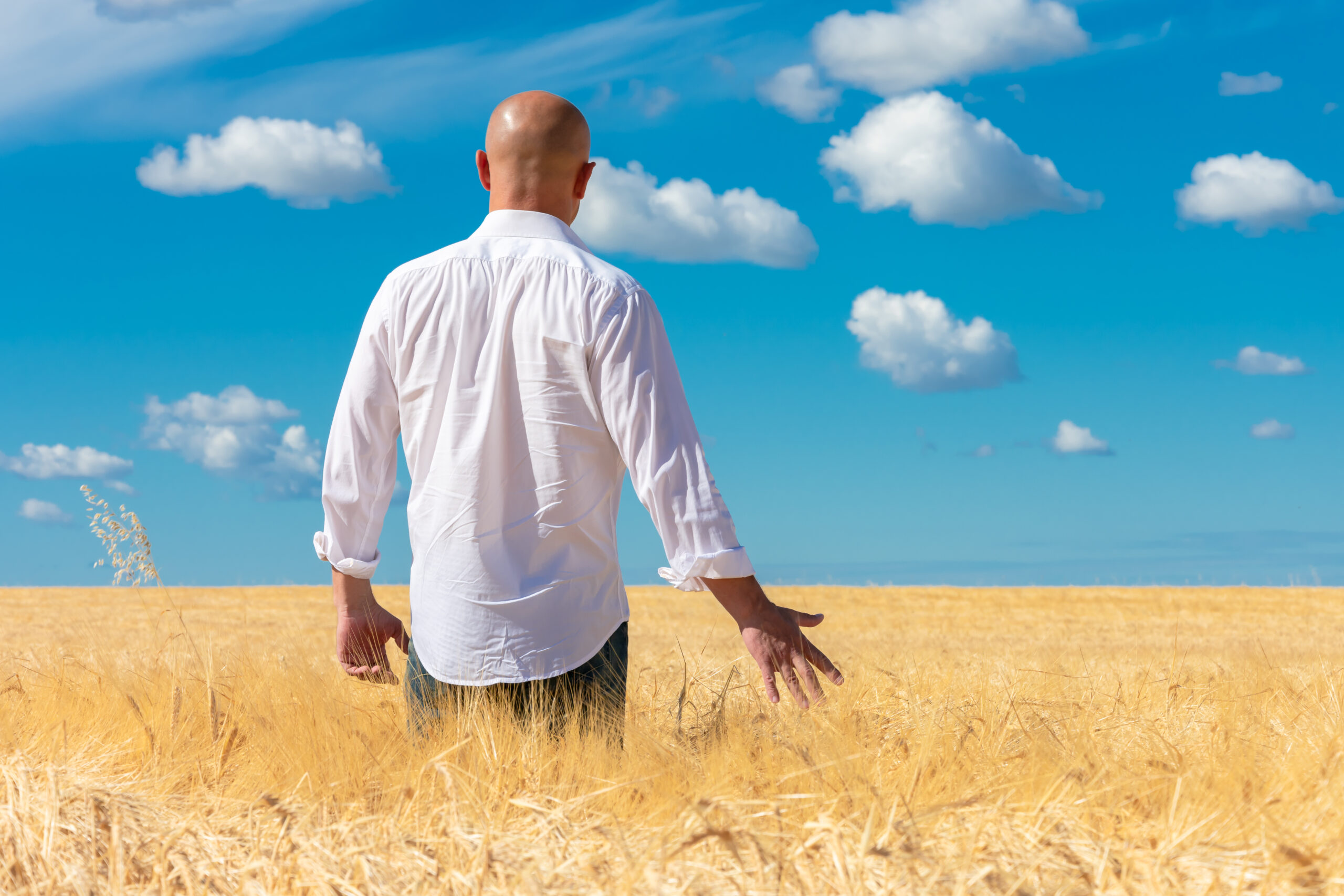 Monsieur qui marche en pleine conscience dans un champ de blé